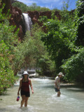 Downstream of Mooney Falls...Tom is apparently stuck in a thing