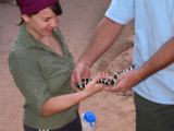 Marissa and the King Snake