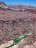 Colorado River from Plateau Point