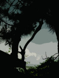 Cartoon Sky
