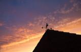 weathervane 