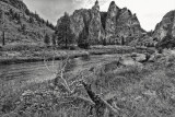 REJ_6436_BW_Large_Web.jpg