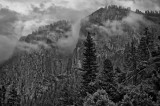 BW_REJ_0839_Large_Web.jpg