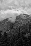 BW_REJ_0820 _LG_WEB.jpg