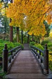 japanese_garden_for_sale