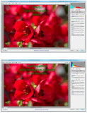sRGB vs. ProPhotoRGB and Reds.jpg
