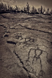 Petroglyphs at Waikoloa