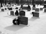 Snowy Cemetery Shadows