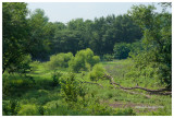 Iroquois River pasture, Newton County