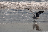 Cape May, NJ