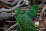 DSC_0296.JPG