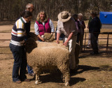 2011 Maldon Show100.jpg