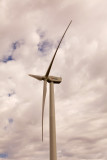 WaubraWindFarm03.jpg