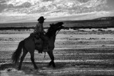 Wagons and Horseback Riders ('49ers), Death Valley National Park, California, USA