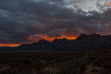 IMG_1103-1.jpg