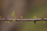 IMG_8903-1.jpg