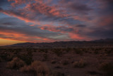 IMG_0240-1.jpg