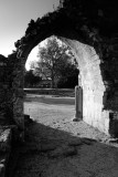 Bolton Abbey  10_DSC_7385