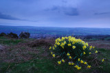 Ilkley Moor  11_DSC_0034