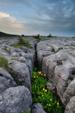 At The foot of Ingleborough 11_DSC_2583