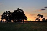 Windsor Park 11_DSC_3554