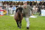 Nidderdale Show 2011 11_DSC_7489