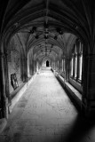Lacock Abbey 11b_DSC_0246
