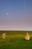 Stone Avenue, Avebury 11b_DSC_0673