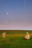 Stone Avenue, Avebury  11b_DSC_0673