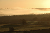 Washburn Inversion 11_d70_DSC_1679