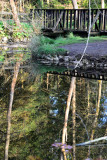 Donadea Forest Park 12_d800_0953