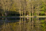 Donadea Forest Park 12_d800_0989