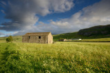 Littondale Barn 12_d800_1191