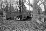 Bridge in Parco Sempione