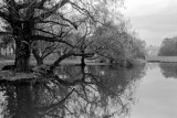 Little lake and Arco della Pace