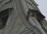 Peregrine in flight mode