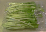 P1100428 Bok Choy