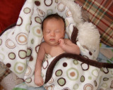 The Thinker at Five and a Half Weeks