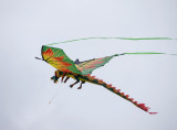 P1040610 Dragon Kite at Isle of Palms