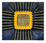 _DSF8072.jpg