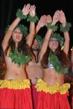 Various Polynesian dancers
