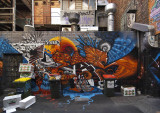 DSC_7236.jpg