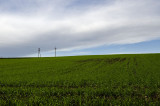 _DSC0618.jpg