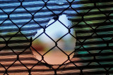 DSC_6167.jpg