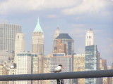 Tern Forsters NYC 07a.JPG