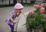 smelling tulips
