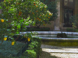 Fountain with Citrus Trees<br />4074