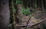 Ghosts of logging methods past