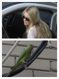 Two Birds in the City.jpg