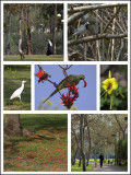 A walk along the river in spring